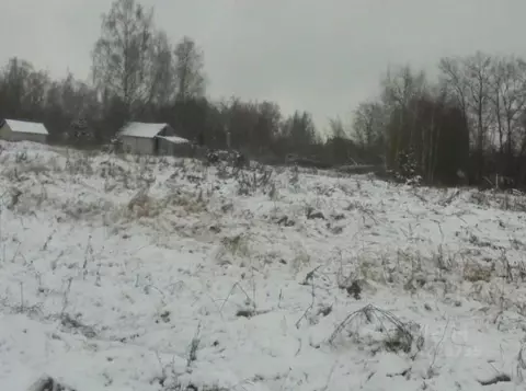 Участок в Московская область, Дмитровский муниципальный округ, пос. ...