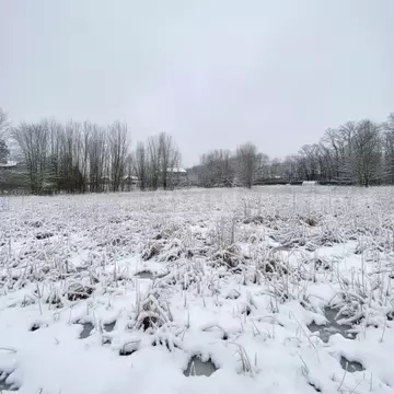 Участок в Ленинградская область, Ломоносовский район, Ропшинское с/пос ...