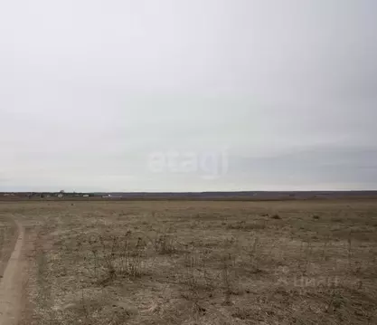 Участок в Калужская область, Дзержинский муниципальный округ, с. ...