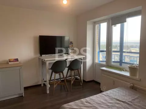 Студия Санкт-Петербург просп. Гладышевский, 38к3 (25.0 м)