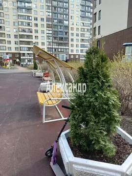 Квартира-студия: Санкт-Петербург, проспект Ветеранов, 169к1 (24.5 м)