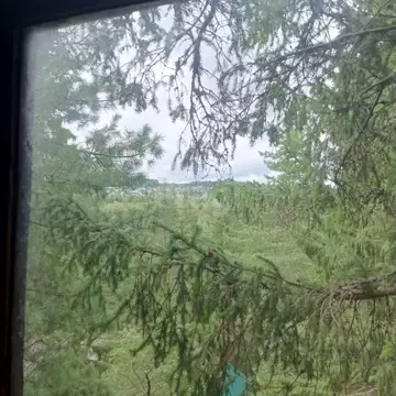 Дом в Пермский край, Пермский муниципальный округ, Ключики № 10 СНТ ...