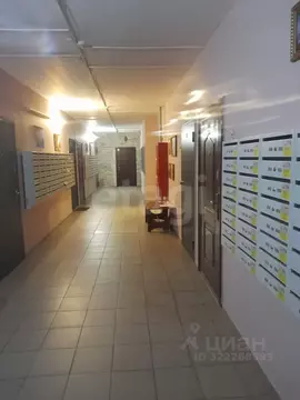 Студия Новосибирская область, Новосибирск Первомайская ул., 226 (21.0 ...