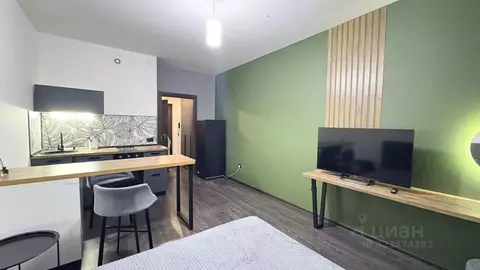 Студия Санкт-Петербург Пулковское ш., 73к7 (24.0 м)