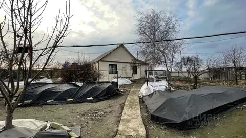 Дом в Волгоградская область, Среднеахтубинский район, Суходольское ...