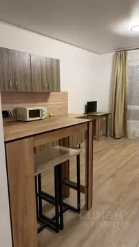 Студия Москва ул. Усадебный Парк, 7к1 (23.0 м)