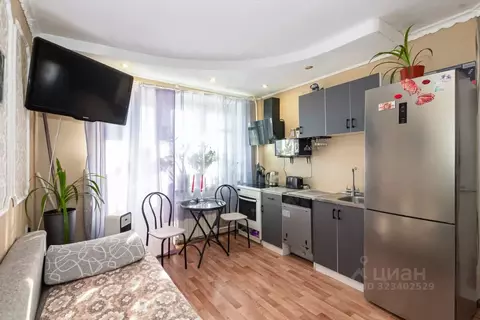 1-к кв. Новосибирская область, Бердск Боровая ул., 96 (25.0 м)