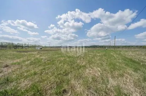 Участок в Пермский край, Пермский муниципальный округ, д. Большакино, ...