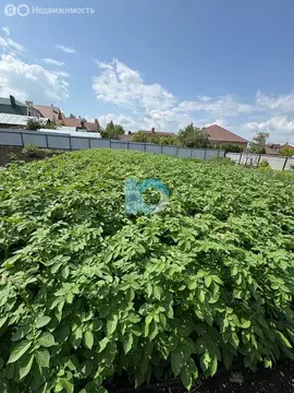 Дом в Октябрьский, улица Гафури (60 м)