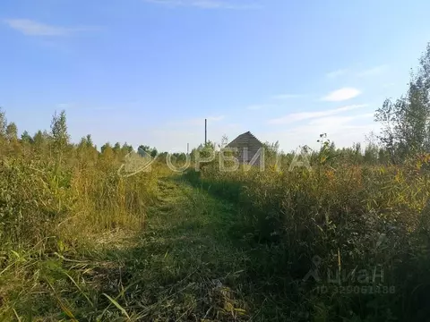 Участок в Тюменская область, Нижнетавдинский муниципальный округ, ...