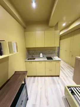 Студия Москва 2-я Тверская-Ямская ул., 18 (21.0 м)