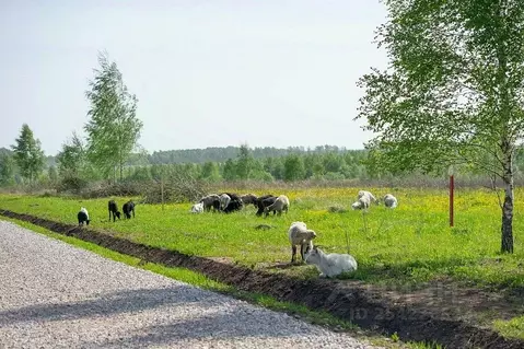 Участок в Тульская область, Заокский район, Демидовское муниципальное ...