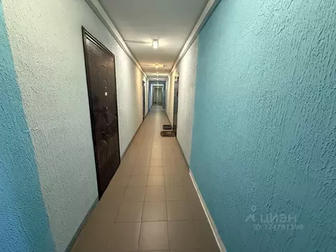 Студия Московская область, Щелково городской округ, д. Большие ...