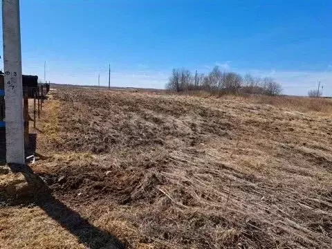 Участок в Амурская область, Благовещенский район, с. Волково  (15.0 ...