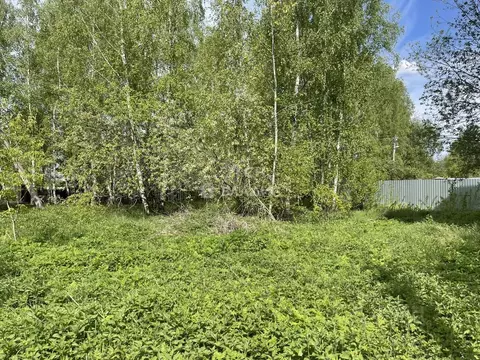 Участок в Московская область, Богородский городской округ, д. Ельня  ...