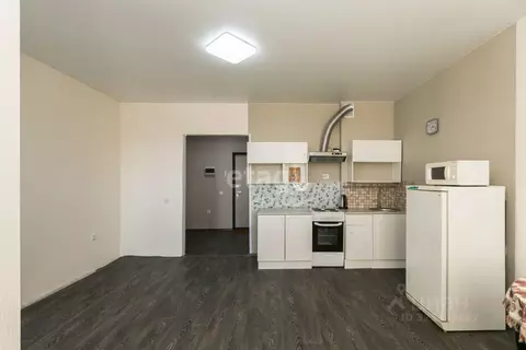 Студия Тюменская область, Тюменский муниципальный округ, д. Патрушева ...