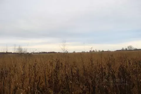 Участок в Московская область, Шаховская муниципальный округ, с. Белая ...