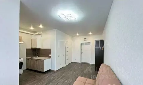 Студия Новосибирская область, Новосибирск Тайгинская ул., 39 (25.0 м)