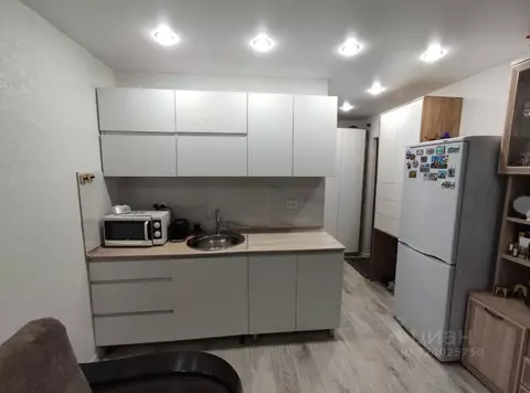 Студия Вологодская область, Вологда ул. Пугачева, 73В (18.0 м)