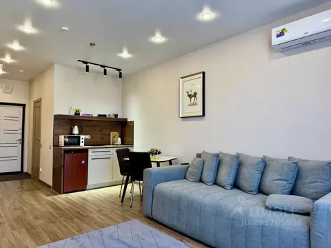 1-к кв. Приморский край, Владивосток просп. 100-летия Владивостока, ...