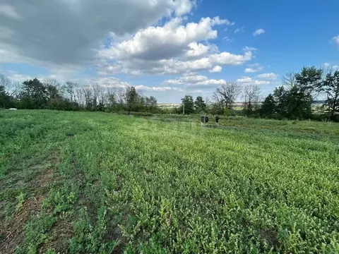 Участок в Белгородская область, Белгородский район, Беловское с/пос, ...
