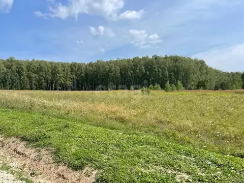 Участок в Калужская область, пос. Ферзиково ул. Карпова (10.0 сот.)