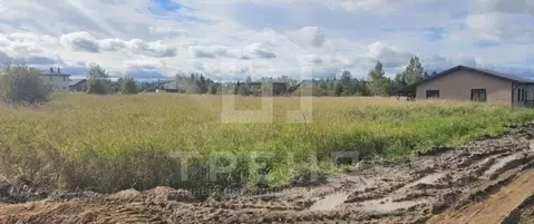 Участок в Ленинградская область, Ломоносовский район, Низинское с/пос, ...