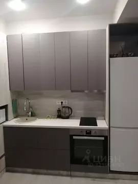 Студия Краснодарский край, Сочи Виноградная ул., 195/8А (30.8 м)