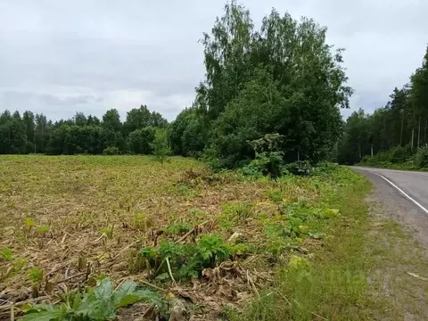 Участок в Ленинградская область, Выборгский район, Рощинское городское ...
