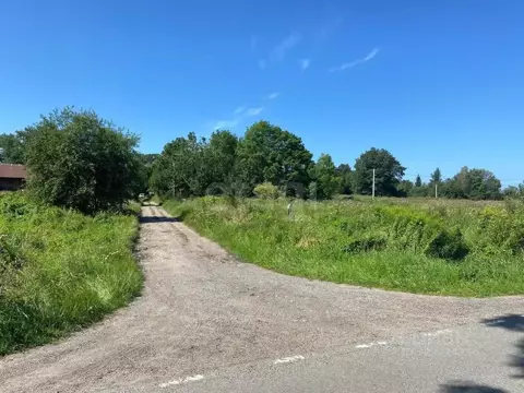 Участок в Калининградская область, Гурьевский муниципальный округ, ...