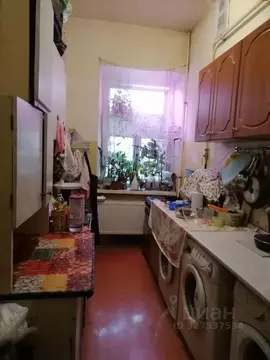 Комната Санкт-Петербург Курская ул., 31 (28.0 м)