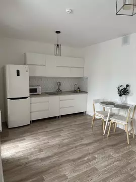 Студия Санкт-Петербург дор. Муринская, 8к4 (26.0 м)