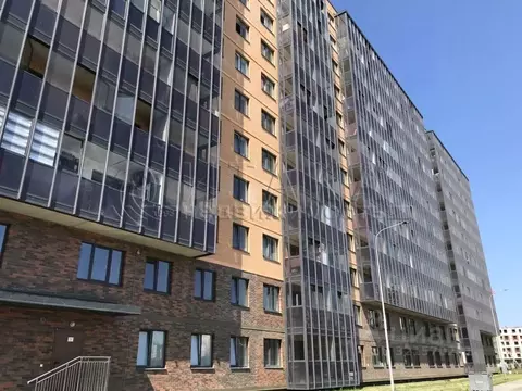 Студия Ленинградская область, Всеволожский район, д. Новое Девяткино ...