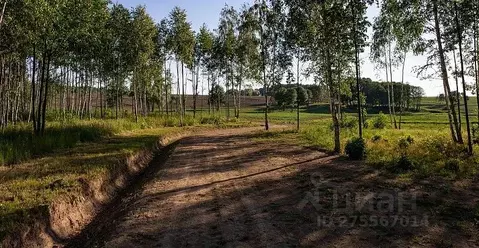 Участок в Тульская область, Заокский район, Демидовское муниципальное ...