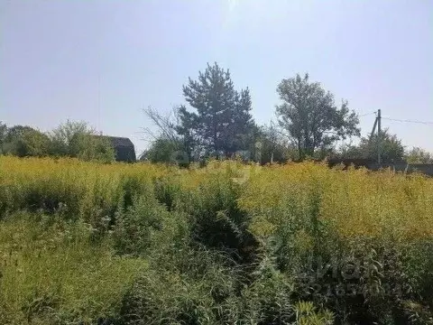 Участок в Брянская область, Брянский район, Добрунское с/пос, д. ...