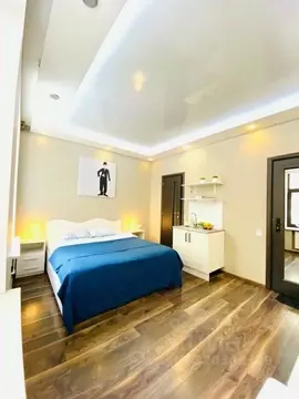 1-к кв. Санкт-Петербург ул. Чайковского, 51 (18.0 м)