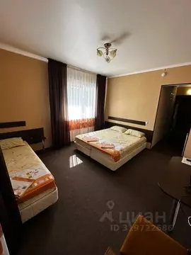 Комната Краснодарский край, Анапа муниципальный округ, с. Витязево ул. ...