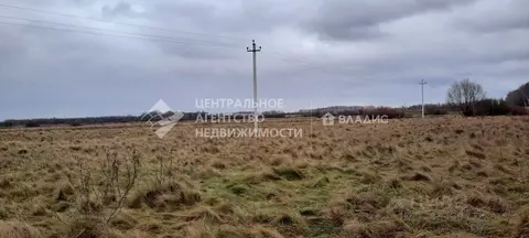 Участок в Рязанская область, Рязанский муниципальный округ, с. ...