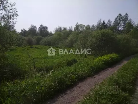 Участок в Владимирская область, Владимир Нива СНТ,  (5.38 сот.)