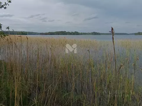Участок в Карелия, Лахденпохский муниципальный округ, пос. Куликово  ...
