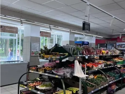 Торговая площадь в Московская область, Солнечногорск Красная ул., 64 ...