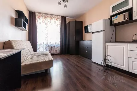 Студия Санкт-Петербург ул. Верхне-Каменская, 7к1 (24.3 м)