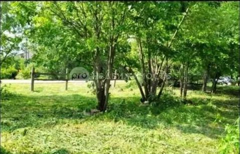 Участок в Рязанская область, Рыбновский район, Алешинское с/пос, с. ...