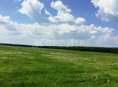 Участок в Тюменская область, Нижнетавдинский район, Моторостроитель ...