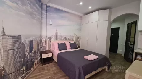 Студия Краснодарский край, Сочи ул. Просвещения, 147/1 (23.0 м)