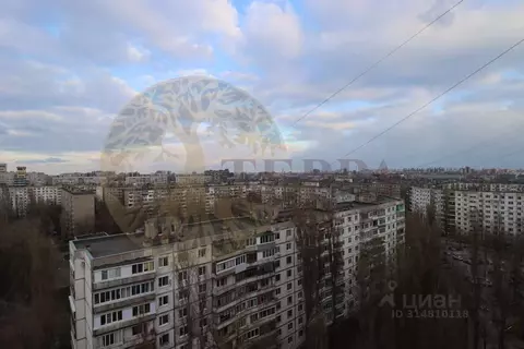 2-к кв. Воронежская область, Воронеж ул. Генерала Лизюкова, 77 (49.2 ...