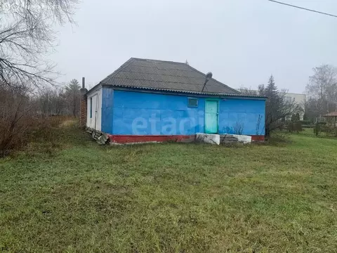 Торговая площадь (51.1 м)