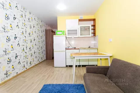 Студия Новосибирская область, Новосибирск ул. Забалуева, 102/1 (20.0 ...