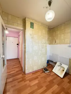 Квартира, 1 комната, 24.8 м