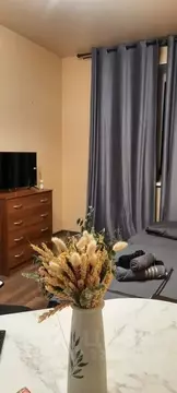 Студия Московская область, Лосино-Петровский городской округ, ...